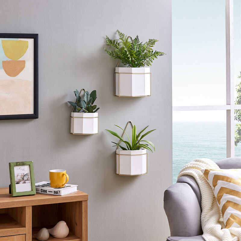 Danya B. Geometric Wall Planters with Gold Accents Set of 3