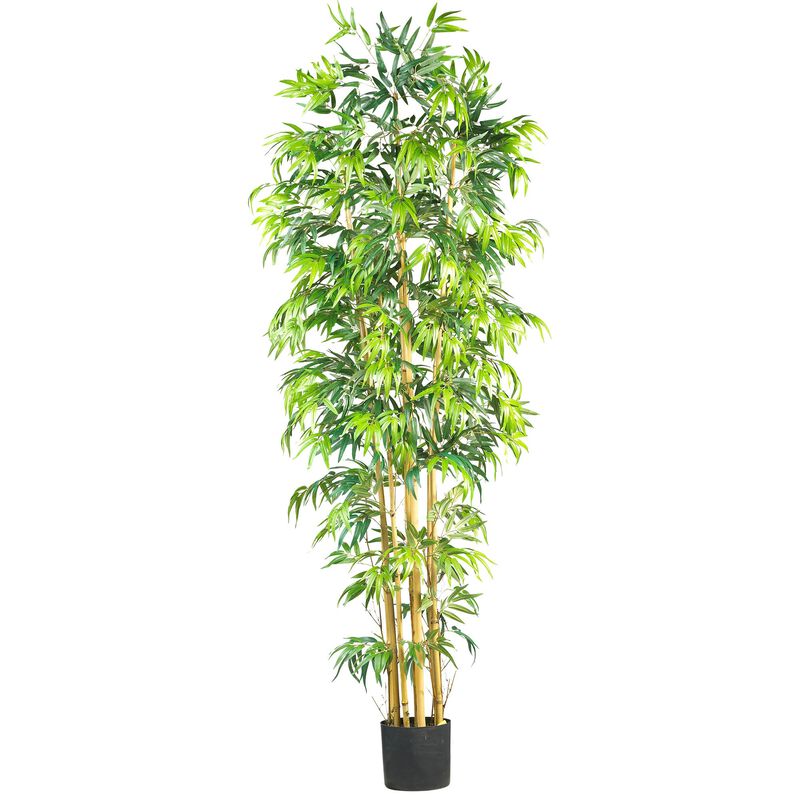 Hivvago 7 Feet Multi Bambusa Bamboo Silk Tree