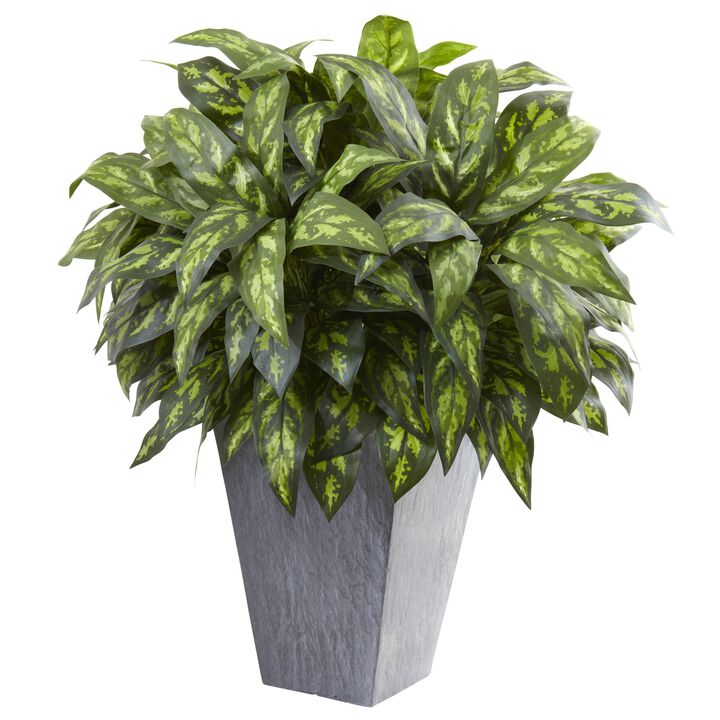 Hivvago Silver King w/Slate Planter