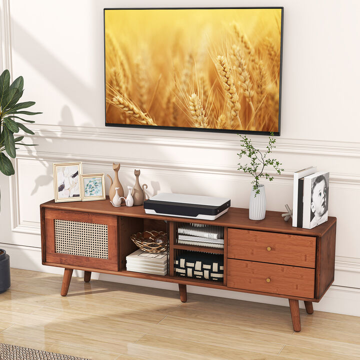 Modern Wood TV Stand with Storage Shelves & Media Console for Living Room