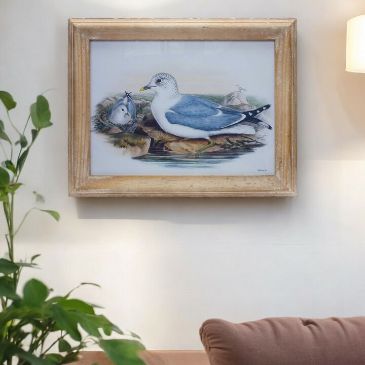 Sea Bird Print Under Glass – Framed Coastal Wall Art for Home, Office, and Nautical Living Room Decor