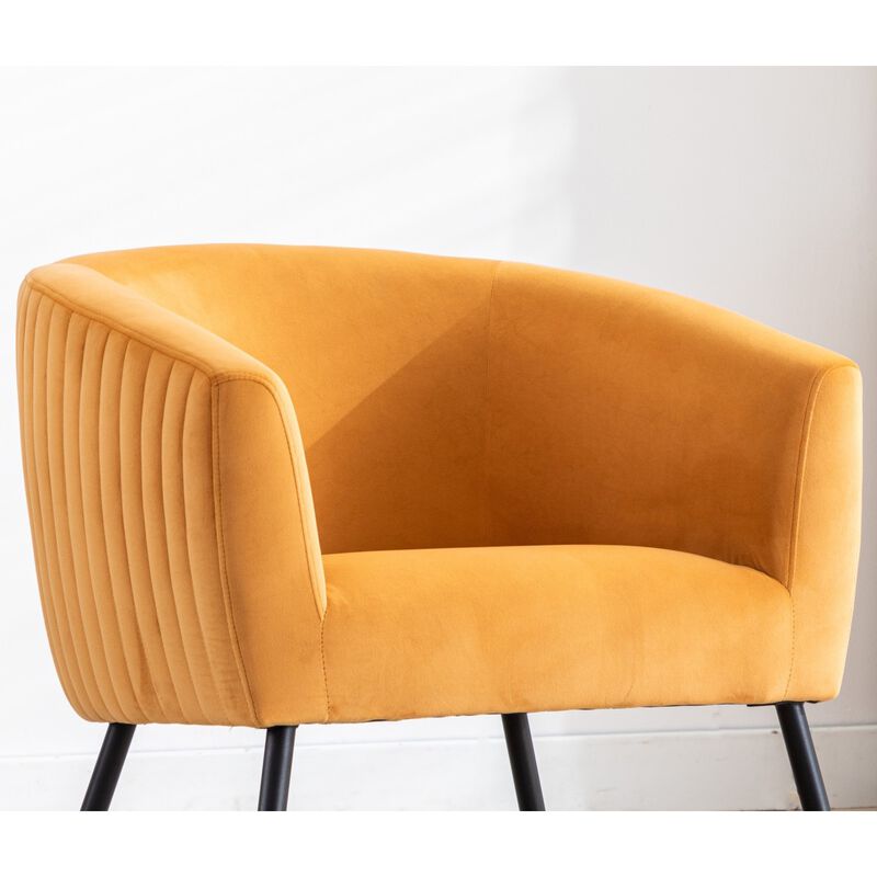 Luxurious Design Accent Chair Velvet Clean Line Design Fabric
