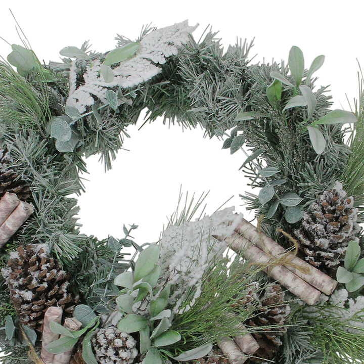 24� Artificial Frosted Pine  Birch Scrolls and Pine Cone Christmas Wreath - Unlit