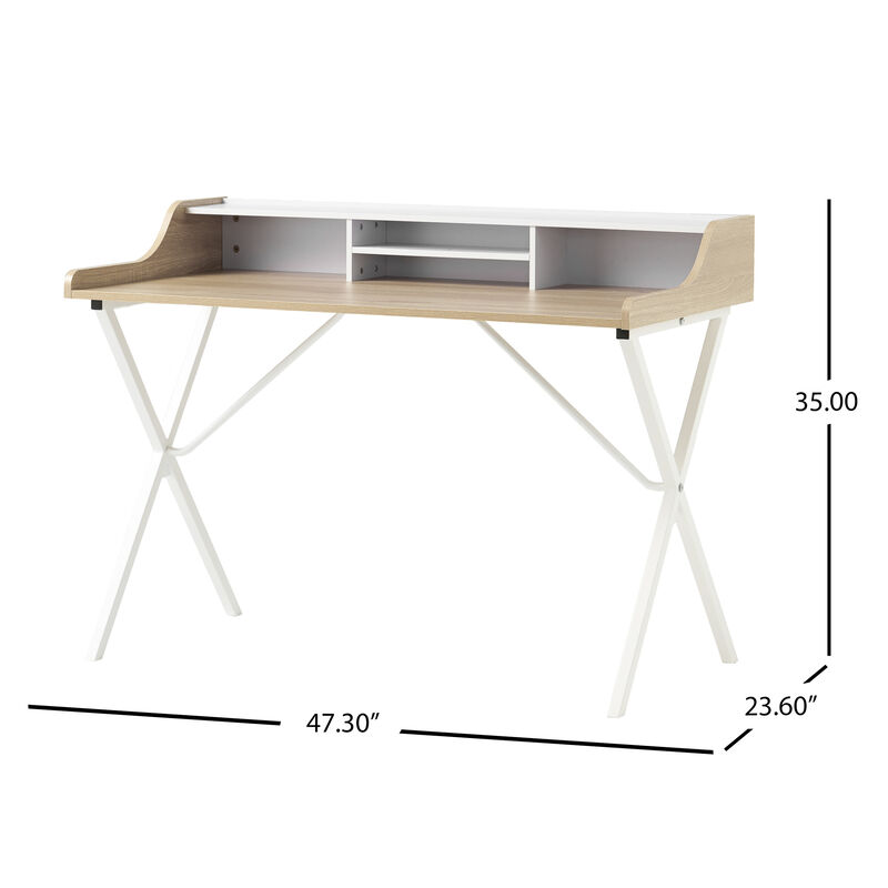 Modern Computer Desk with Storage and Durable Iron Legs