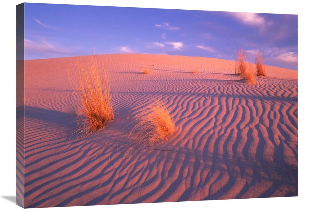 Gypsum dunes, Guadalupe Mountains National Park, Texas-Canvas Art-32x24