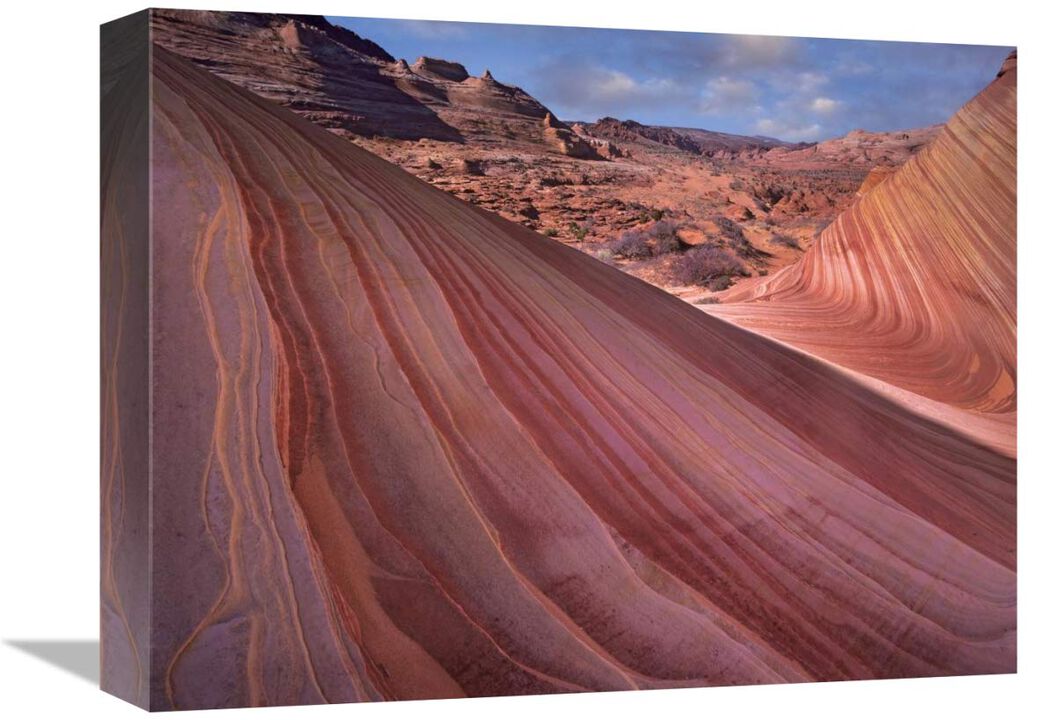 Detail of The Wave, a Navajo sandstone formation in Paria Canyon-Vermilion Cliffs Wilderness, Arizona-Canvas Art-16x12