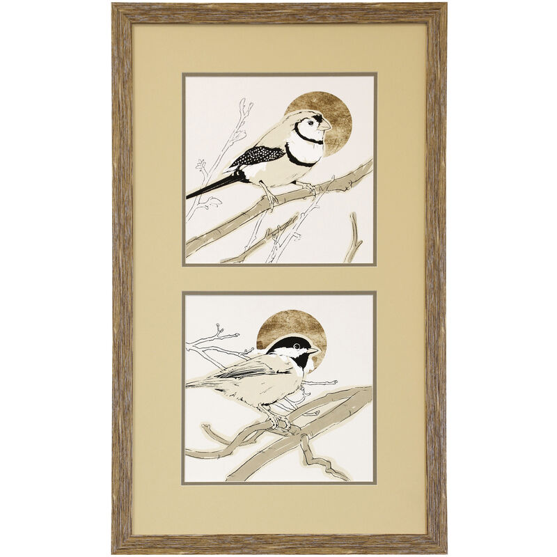 Spring Passerine I and III