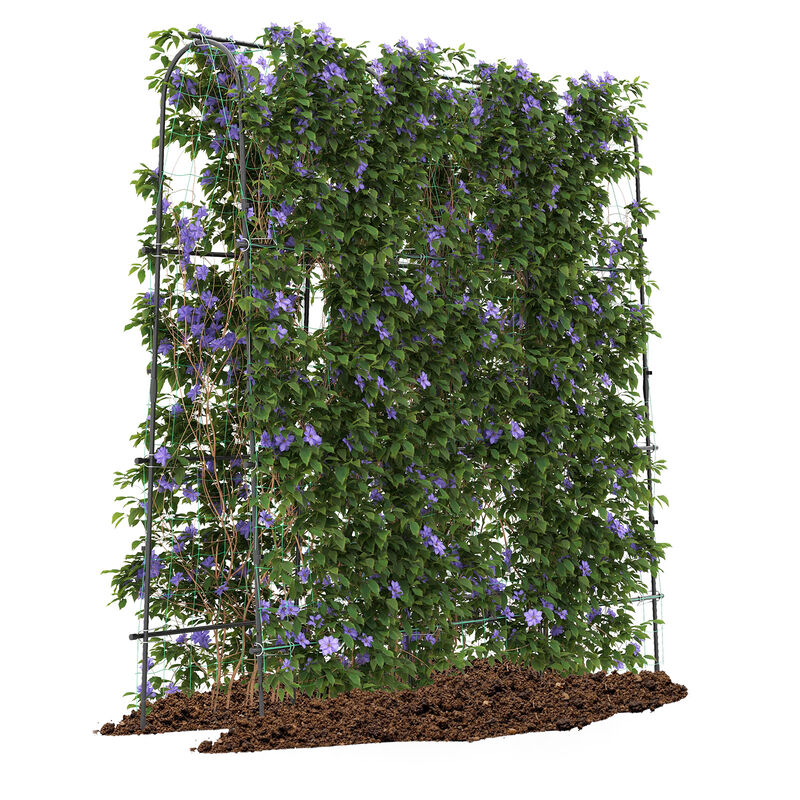 U-Shaped Tall Garden Arched Trellis for Climbing Plants