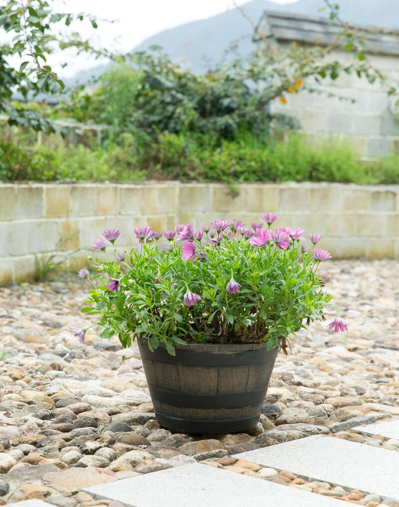 Rustic Wood - Look Plastic Half Barrel Flower Pot, Pack of 4