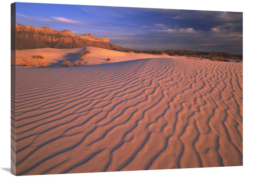 Gypsum dunes, Guadalupe Mountains National Park, Texas-Canvas Art-40x30