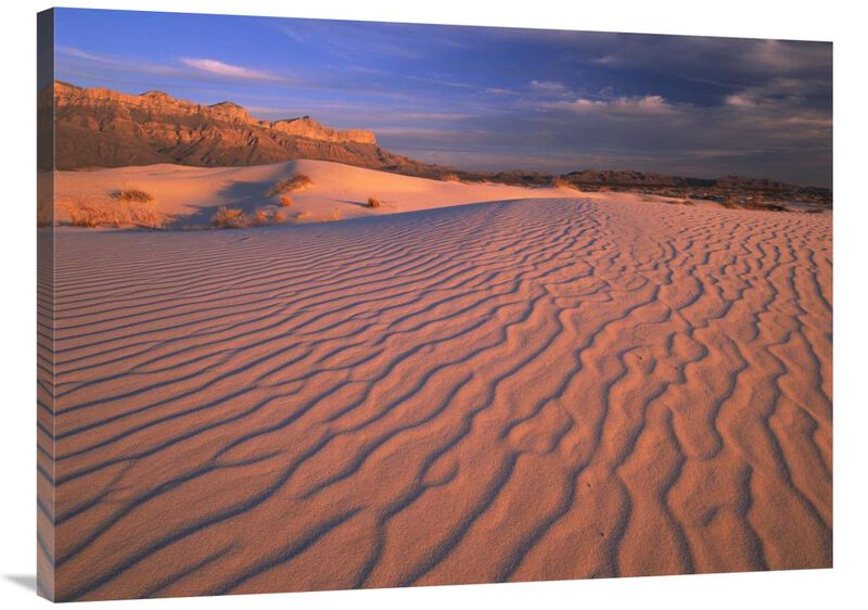 Gypsum dunes, Guadalupe Mountains National Park, Texas-Canvas Art-40x30