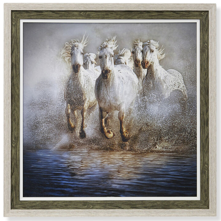 Wild Horses