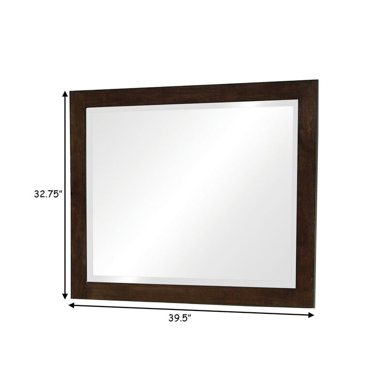 40 Inch Solid Wood Modern Mirror, Portrait, Framed, Cappuccino Brown-Benzara
