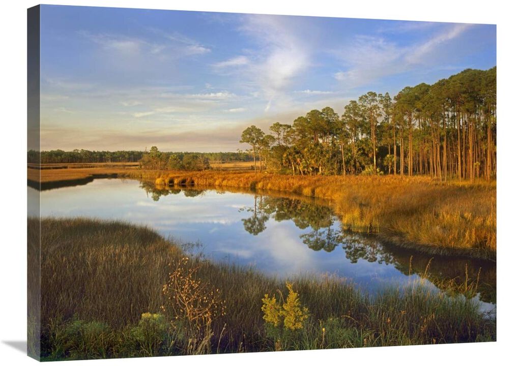 Lake near Apalachicola, Florida-Canvas Art-32x24