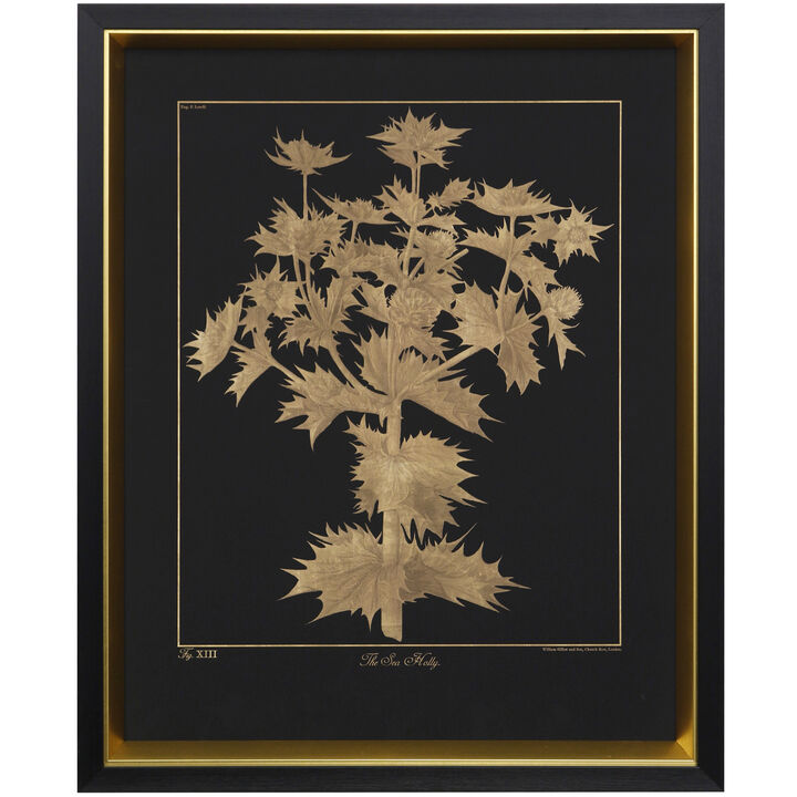 Sea Holly Framed Print