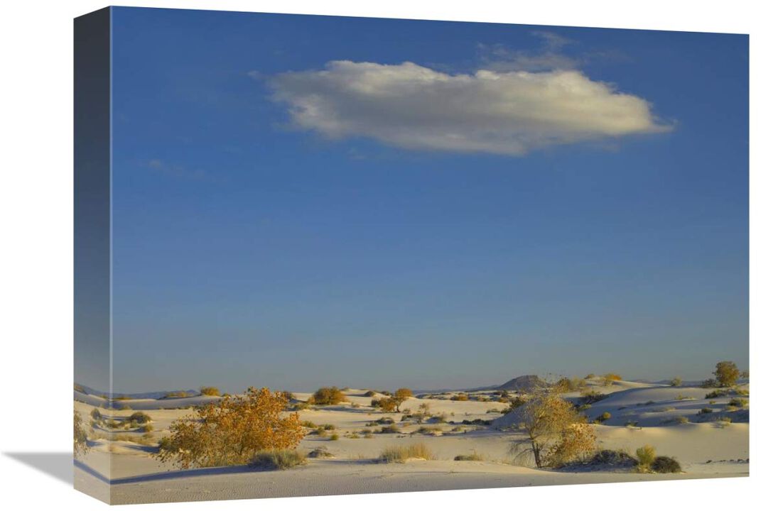 Cloud over White Sands National Monument, Chihuahuan Desert, New Mexico-Canvas Art-16x12