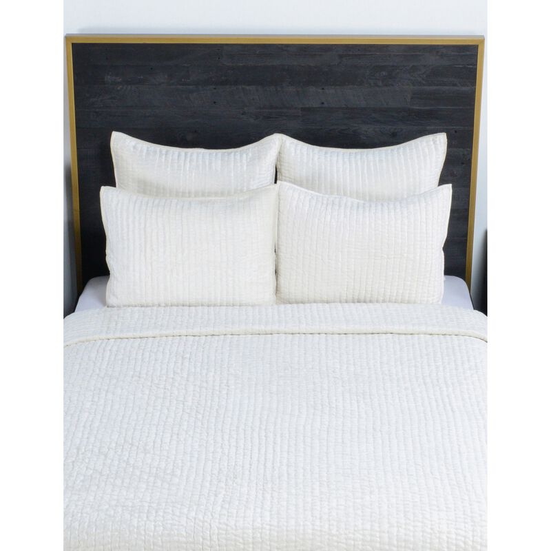 Lipa 20 x 26 Classic Handmade Standard Pillow Sham, Rayon Velvet-Benzara