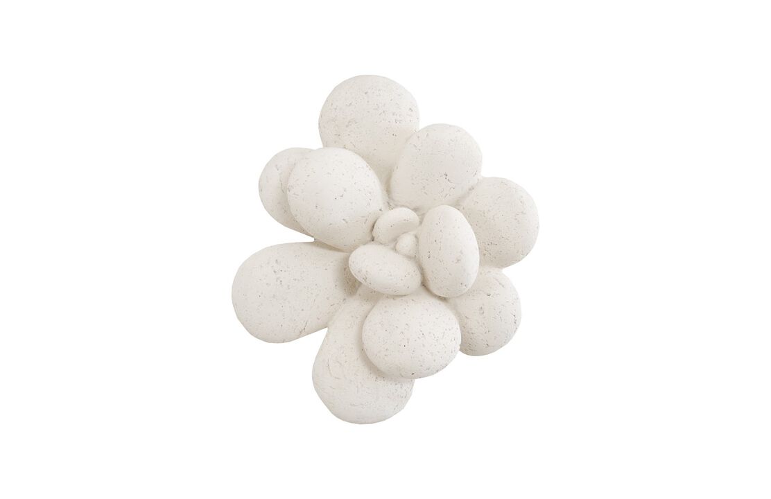 Oviferum Succulent Wall Art in White