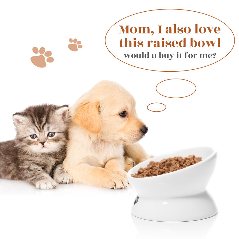 Y YHY Raised Cat Food and Water Bowl Set, Tilted Elevated Cat Food Bowls No Spill, Ceramic Cat Food Feeder Bowl Collection, Pet Bowl for Flat, Set of 2, White