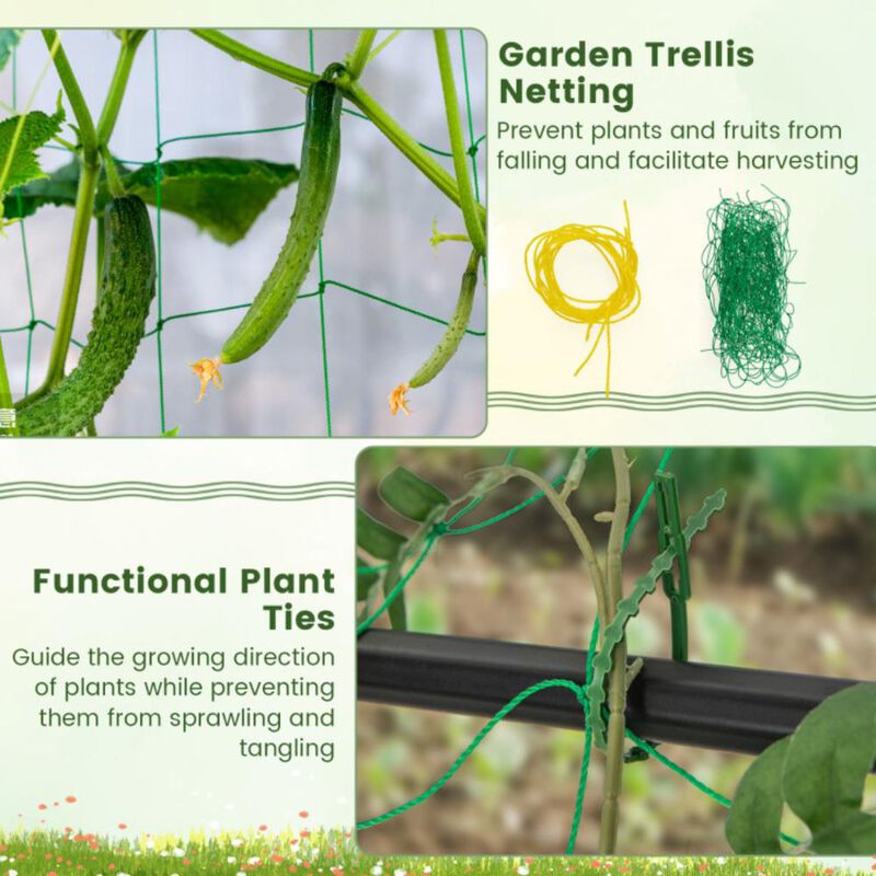 Hivvago 74 Inch Garden Cucumber Trellis with PE-Coated Frame for Climbing Plants