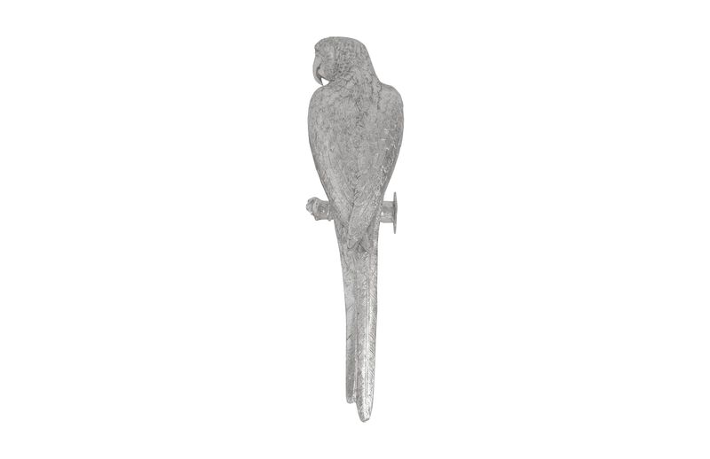 Parrot Looking Left Wall Art
