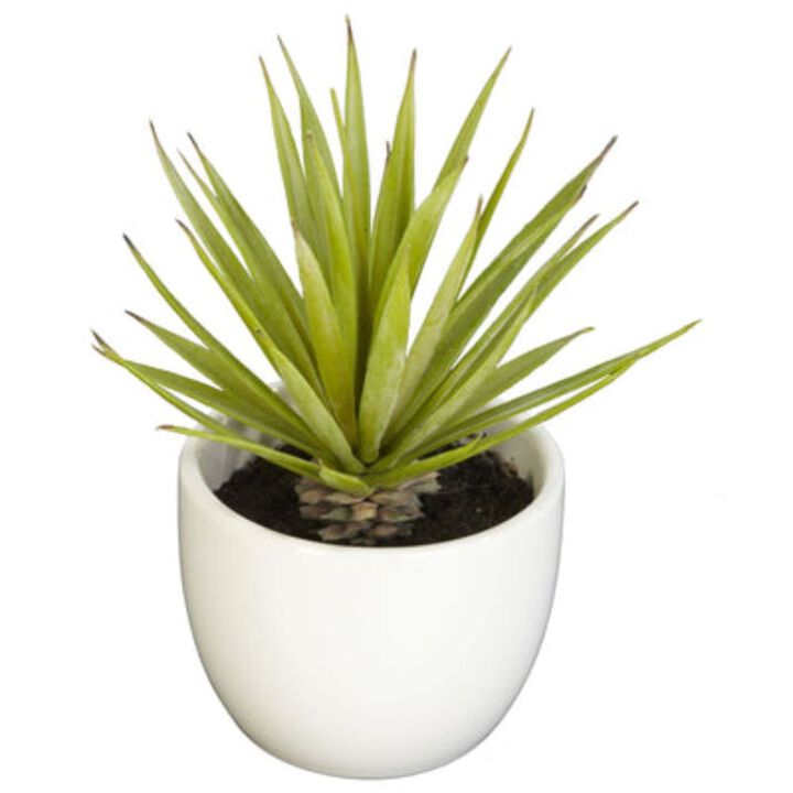 Hivvago Southwest Collection (Set of 3)