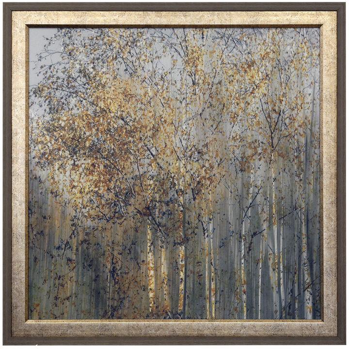 Birch Impression