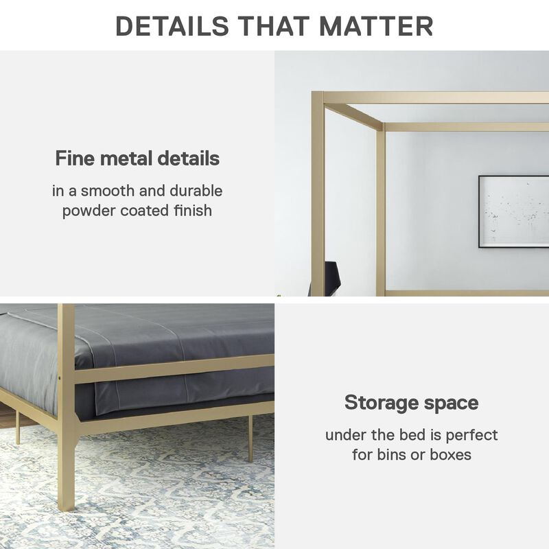 Modern Canopy Metal Bed, King, Gold