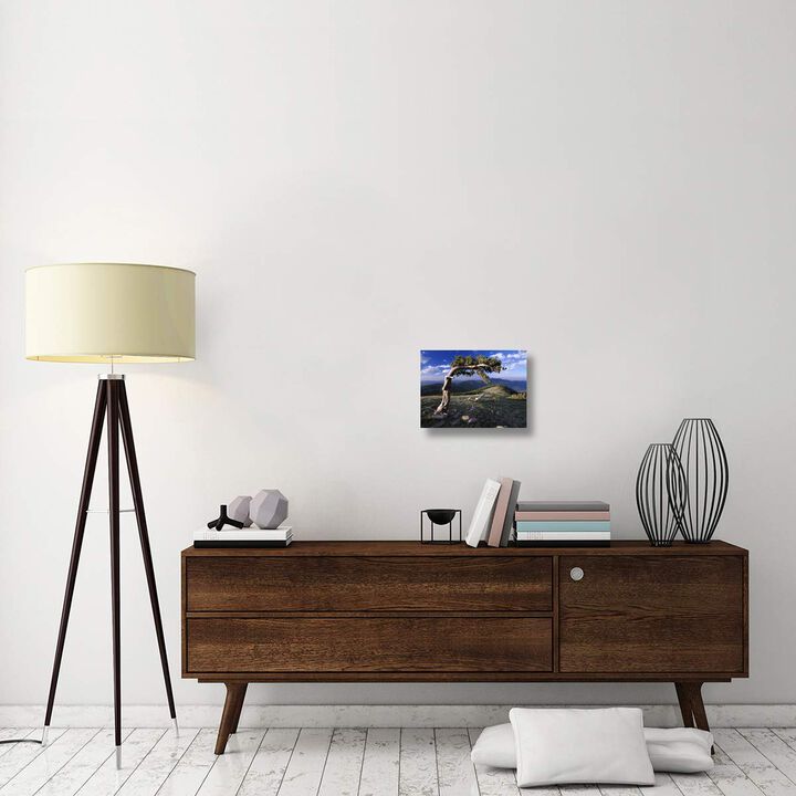 Bristlecone pine, Mt Evans, Colorado-Canvas Art-16x12