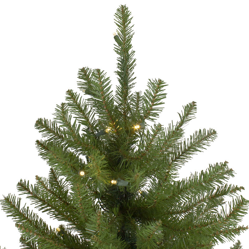 14' Pre-Lit Northern Pine Full Artificial Christmas Tree - Warm White LED Lights