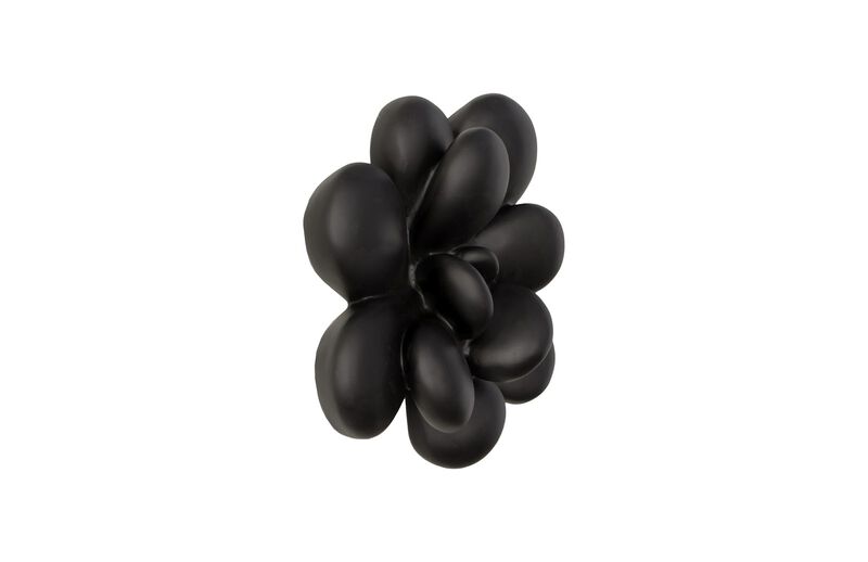 Oviferum Succulent Wall Art in Matte Black