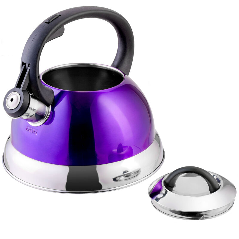 Mr. Coffee Flintshire 1.75 Quart Whistling Stovetop Tea Kettle in Purple