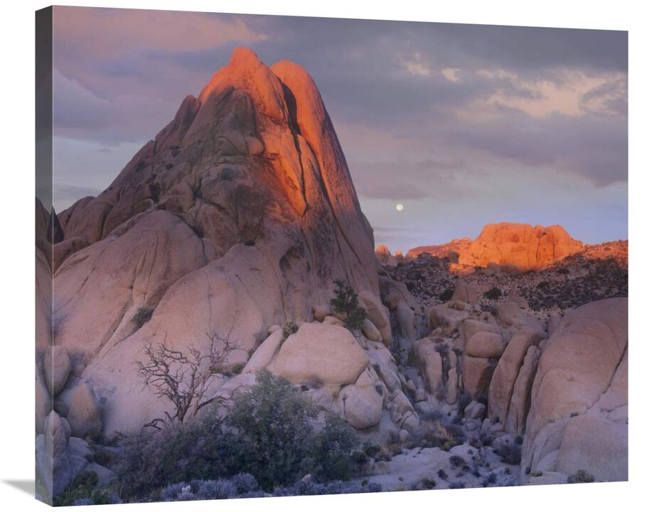 Moon over rocks, Joshua Tree National Park, California-Canvas Art-30x24.9