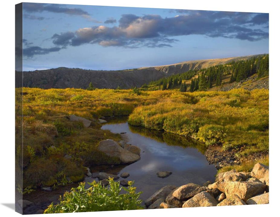 Black Hills landscape showing prairie and Ponderosa Pines South Dakota-Canvas Art-30x24.9
