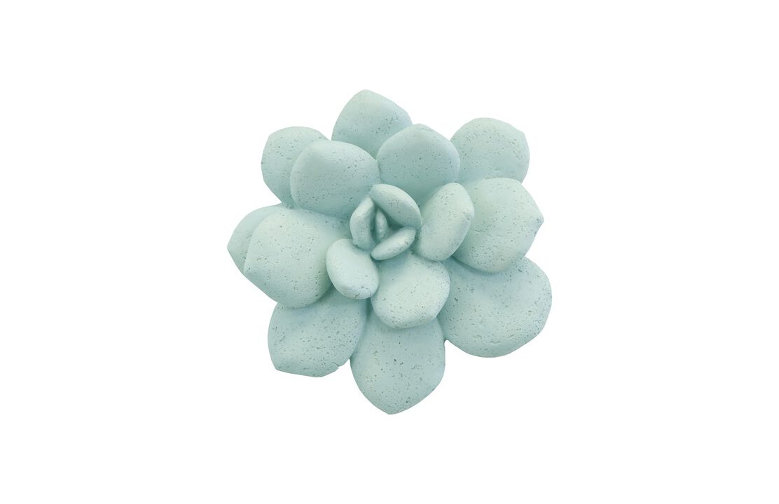 Laui Succulent Wall Art in Sage