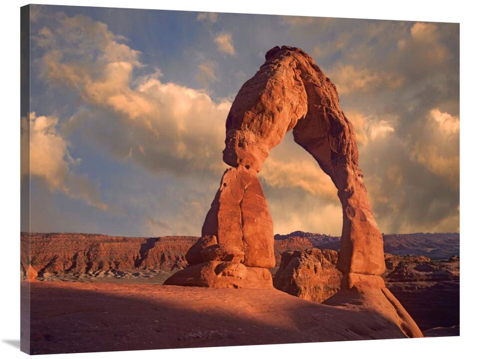 Delicate Arch in Arches National Park, Utah-Canvas Art-40x30
