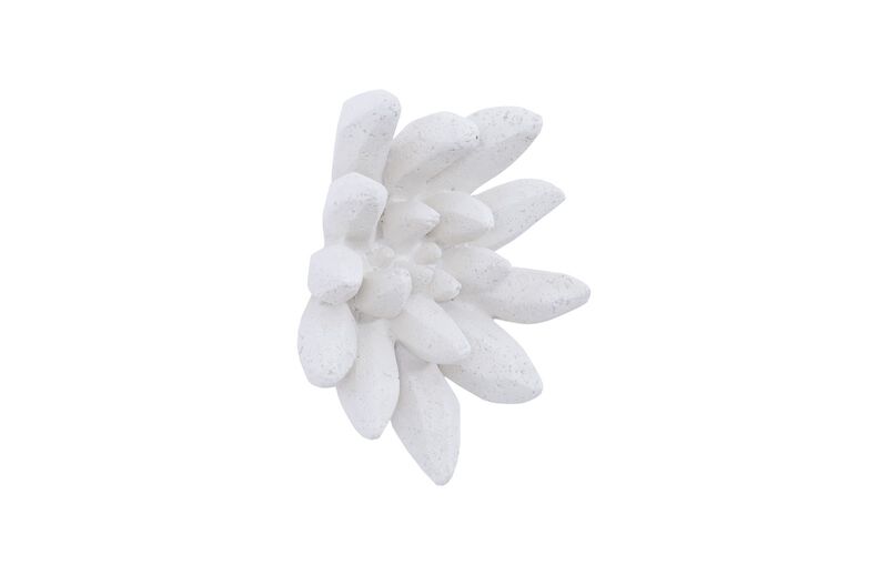 Compactum Succulent Wall Art in White