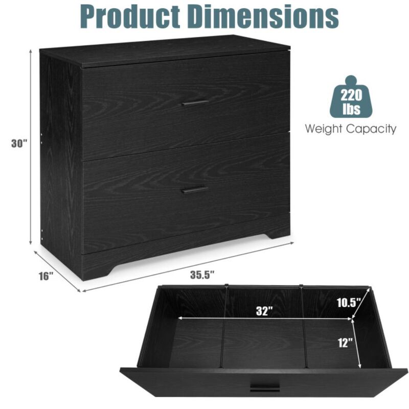 Hivvago 2-Drawer Lateral File Cabinet with Adjustable Bars for Home and Office-Black
