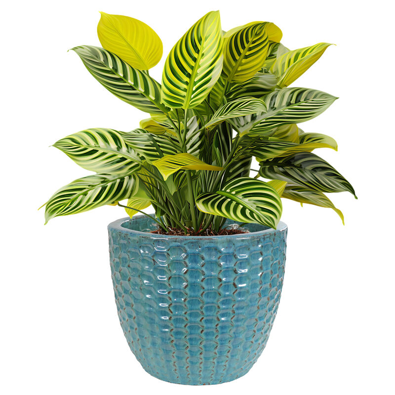 Sunnydaze Turquoise Raised Hexagon Pattern Ceramic Planter - 14"