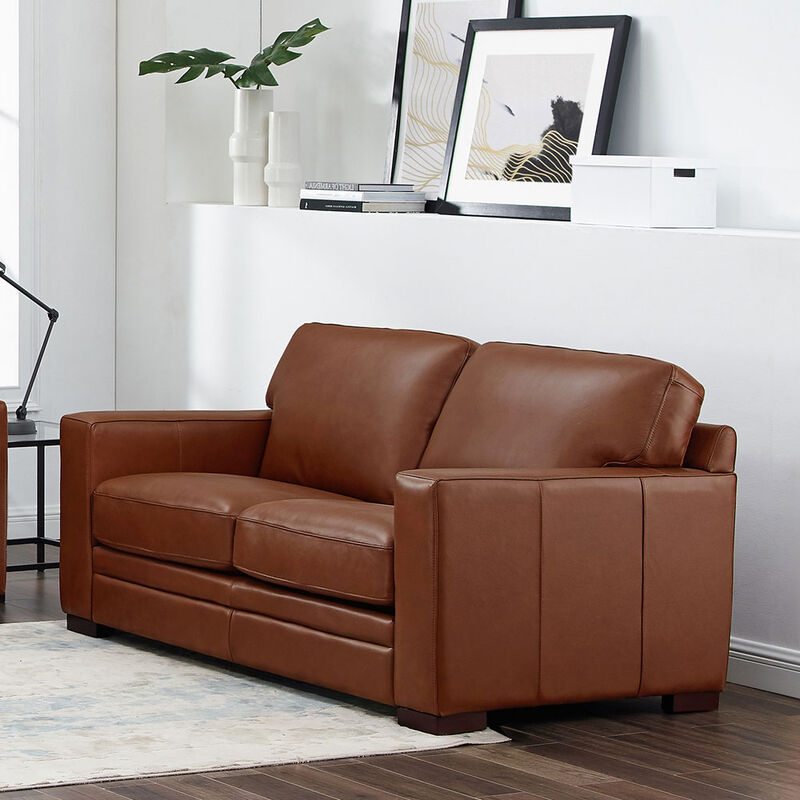 Dillon Top Grain Leather Loveseat
