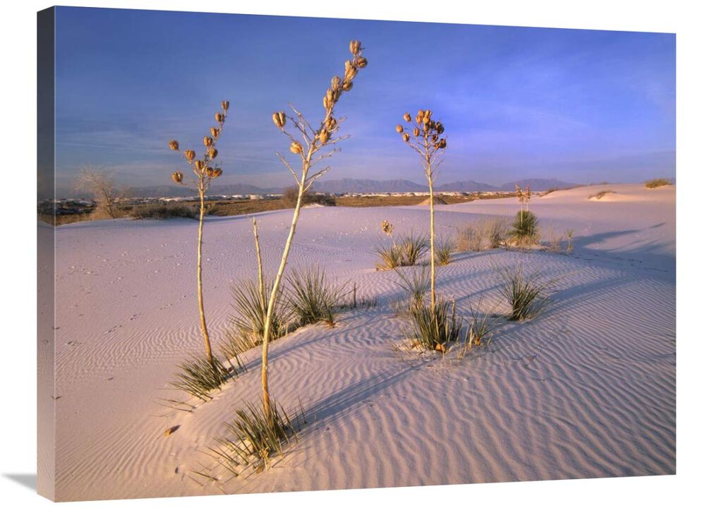 White Sands National Monument, New Mexico-Canvas Art-32x24