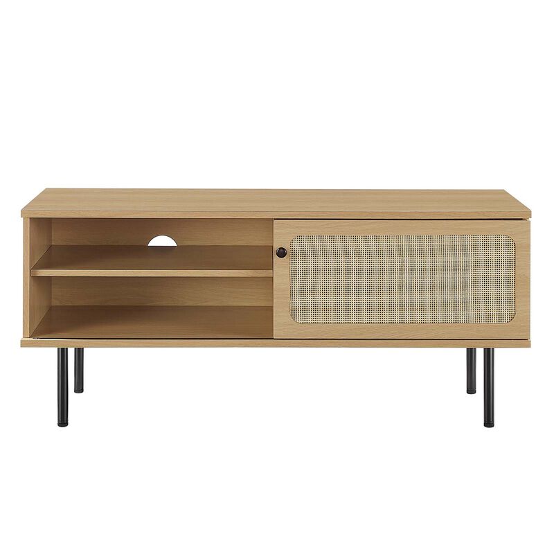 Cambria 47" TV Stand-Benzara