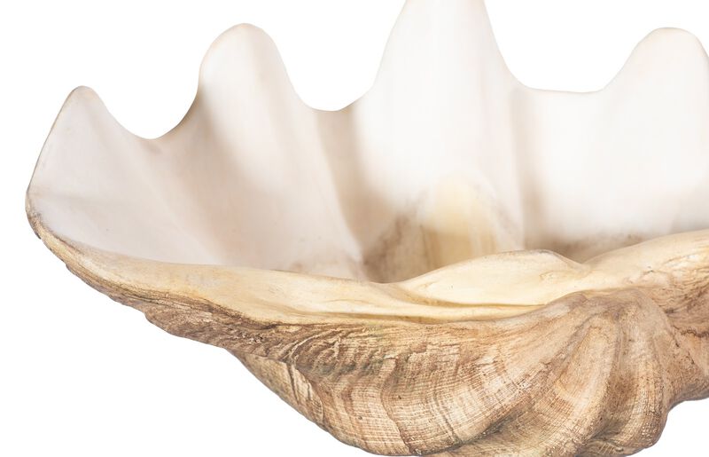 Cast Clam Small Shell Bowl