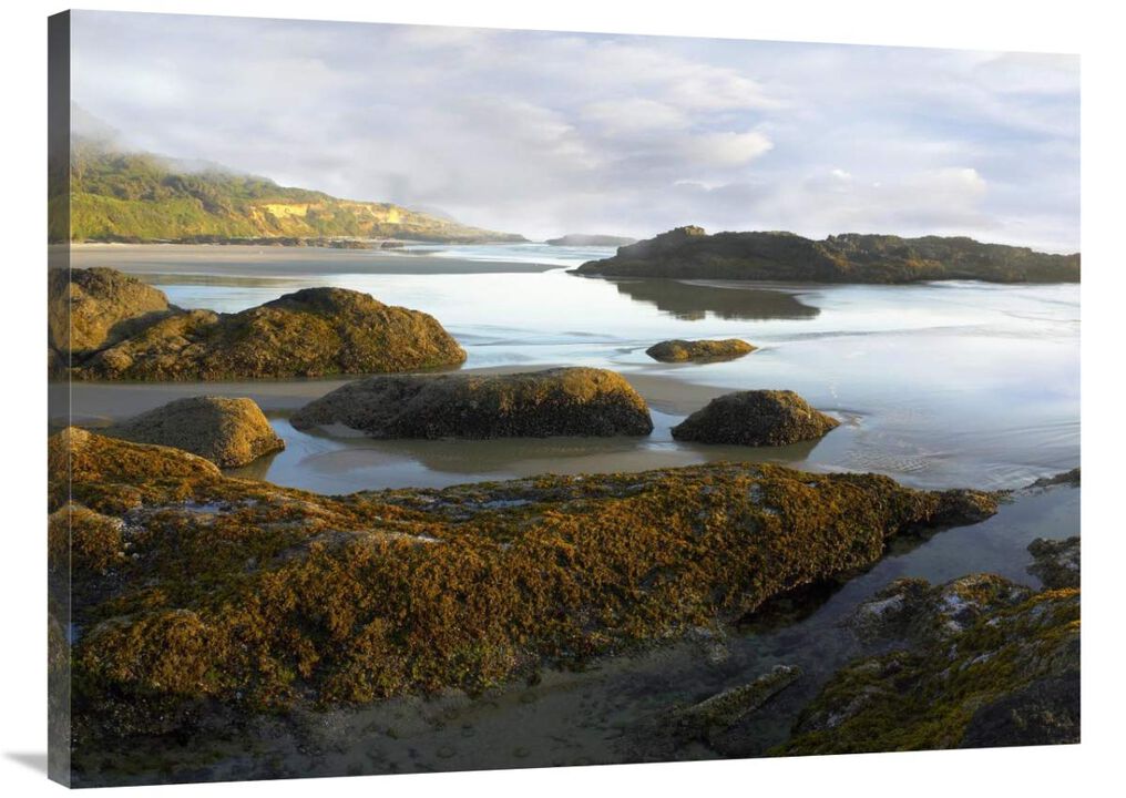 Seaweed covered rocks exposed at low tide, Neptune Beach, Oregon-Canvas Art-40x30
