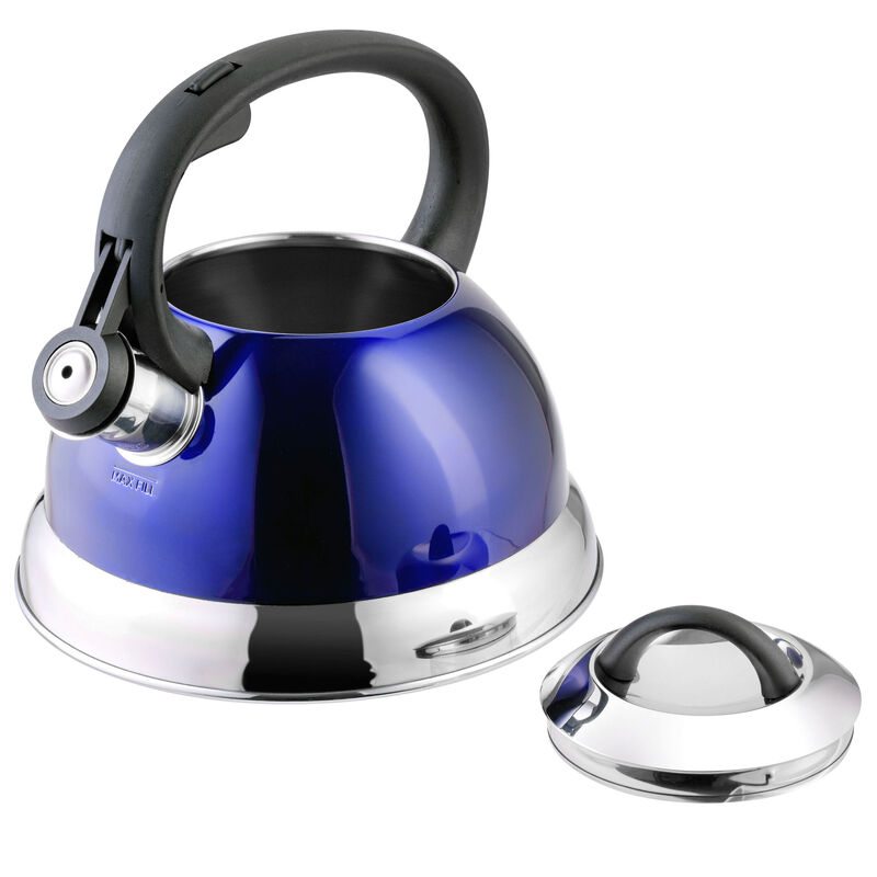Mr. Coffee Flintshire 1.75 Quart Whistling Stovetop Tea Kettle in Blue