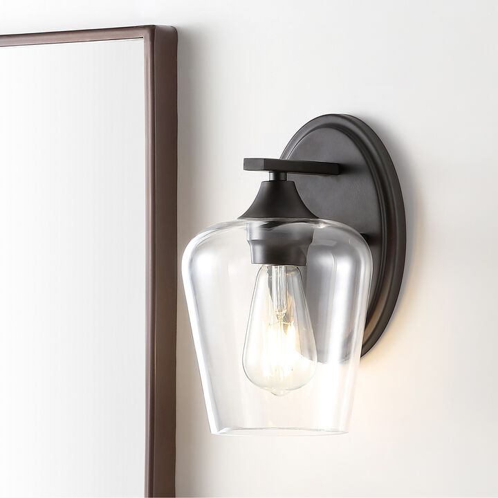 Jayne Iron/Glass Cottage Rustic LED Vanity Light