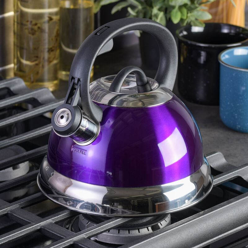Mr. Coffee Flintshire 1.75 Quart Whistling Stovetop Tea Kettle in Purple