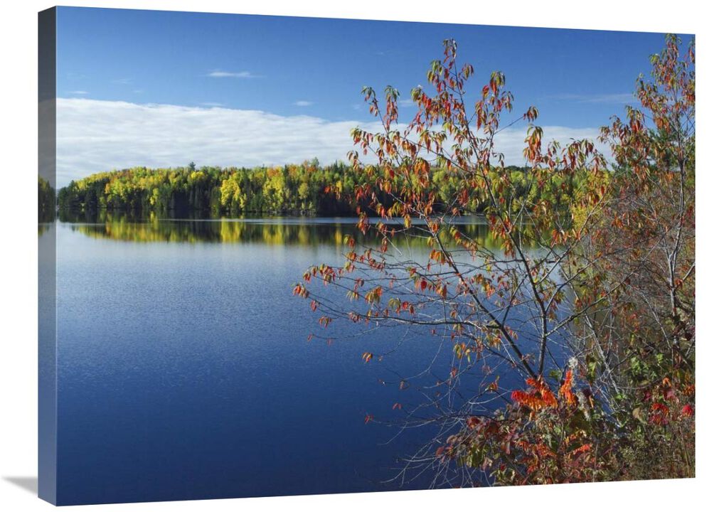 Tobique River, New Brunswick, Canada-Canvas Art-32x24