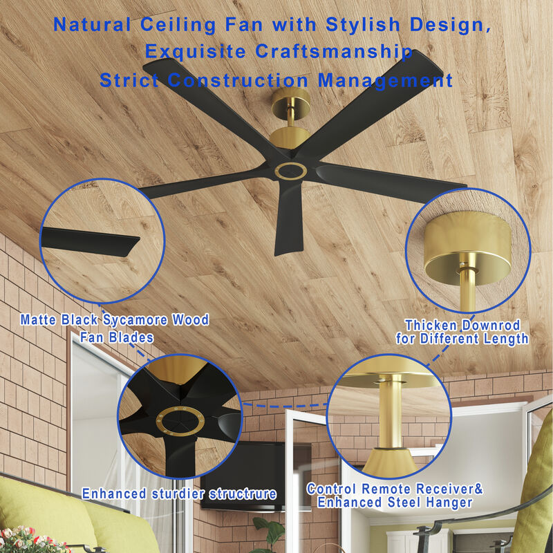 FUFU&GAGA Ceiling Fan 30-in with Black Blades Indoor/Outdoor Ceiling Fan Remote (5-Blade),Black