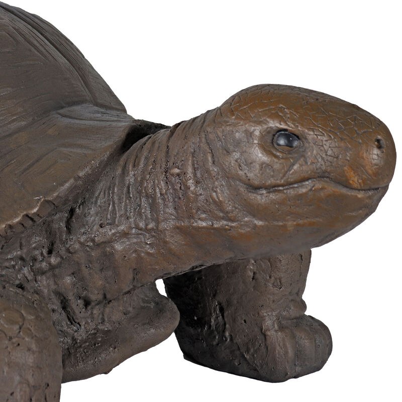 Sunnydaze Talia the Tortoise Indoor/Outdoor Garden Statue - 12 in